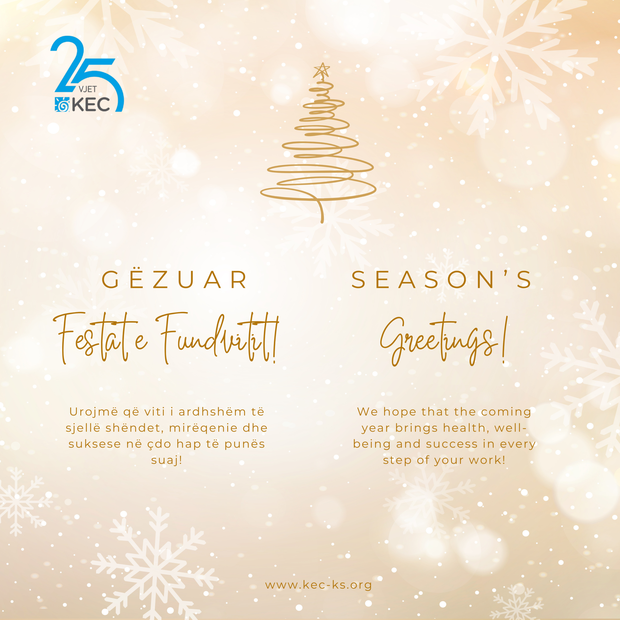 Qendra për Arsim e Kosovës ju uron Festat e Fundvitit!